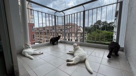 ea94453b-e1a6-44f6-8348-6c09dba716fe