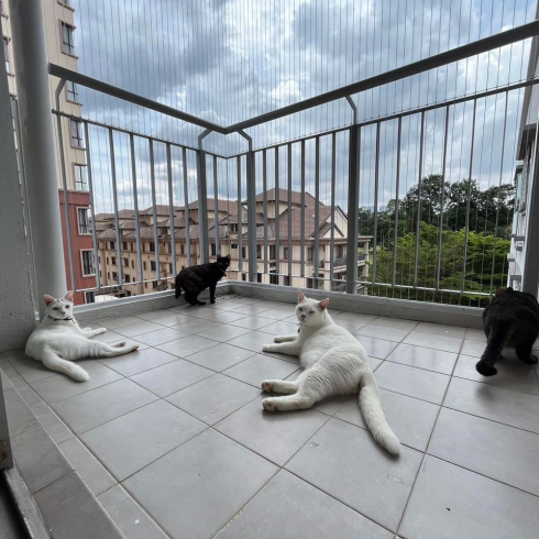 ea94453b-e1a6-44f6-8348-6c09dba716fe